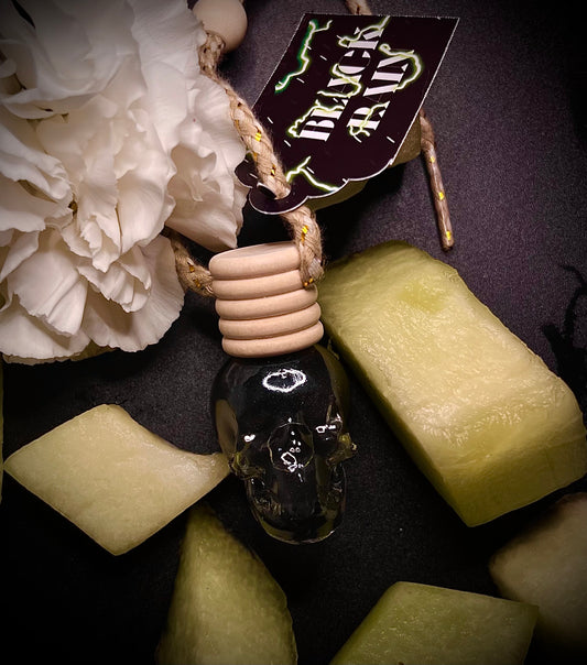 BLACK RAIN Car Diffuser